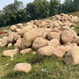 Đá Cuội Vàng Trang Trí Sân Vườn