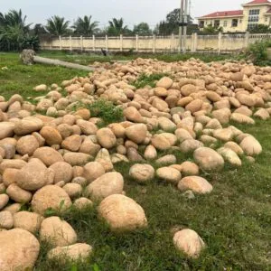 Sỏi Cuội Trang Trí Sân Vườn